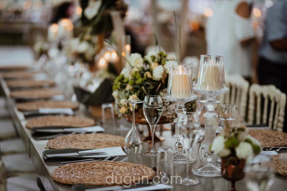 Şebnem Öztürk Organizasyon