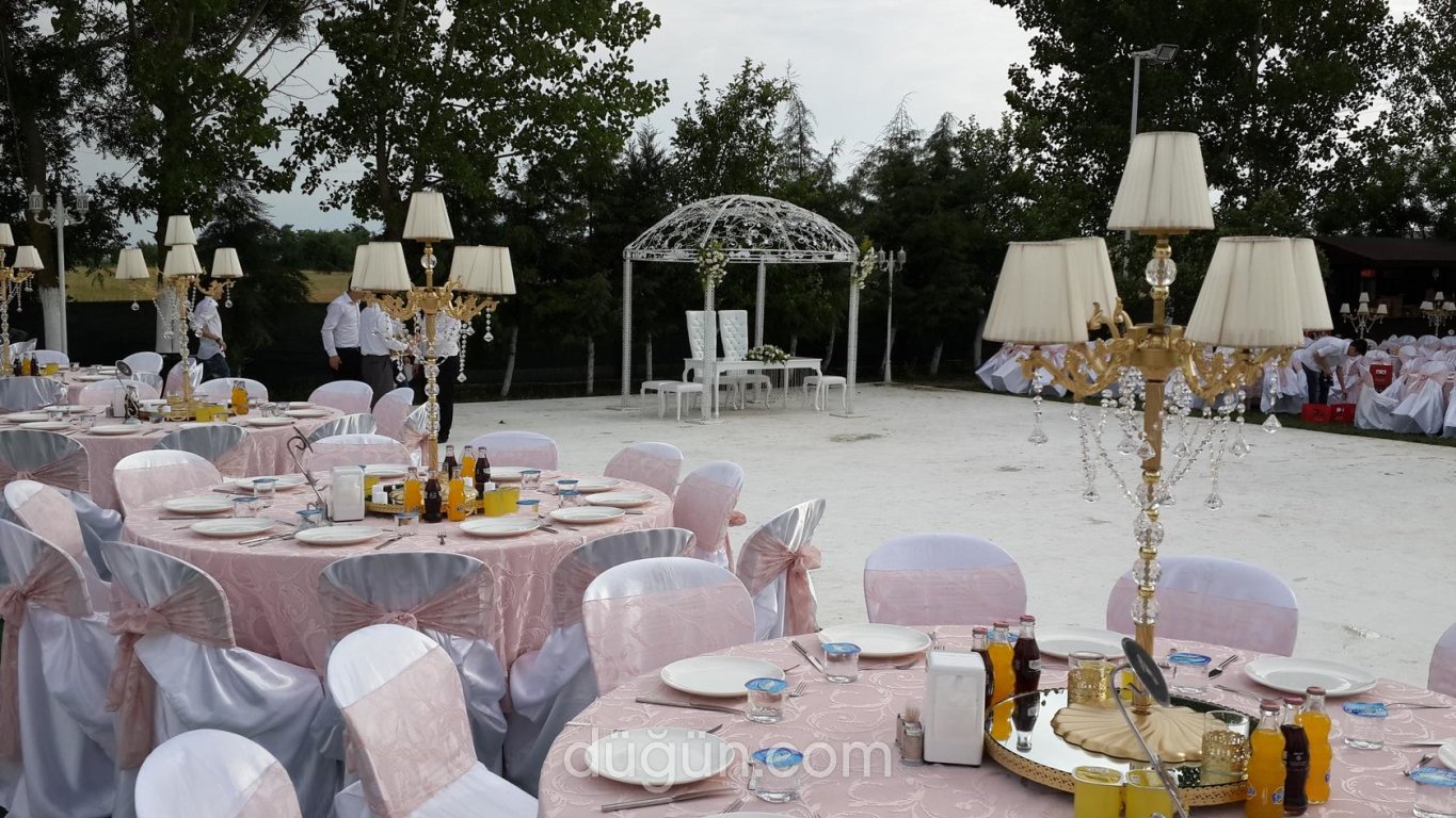 Şah Çiçek & Davet & Organizasyon