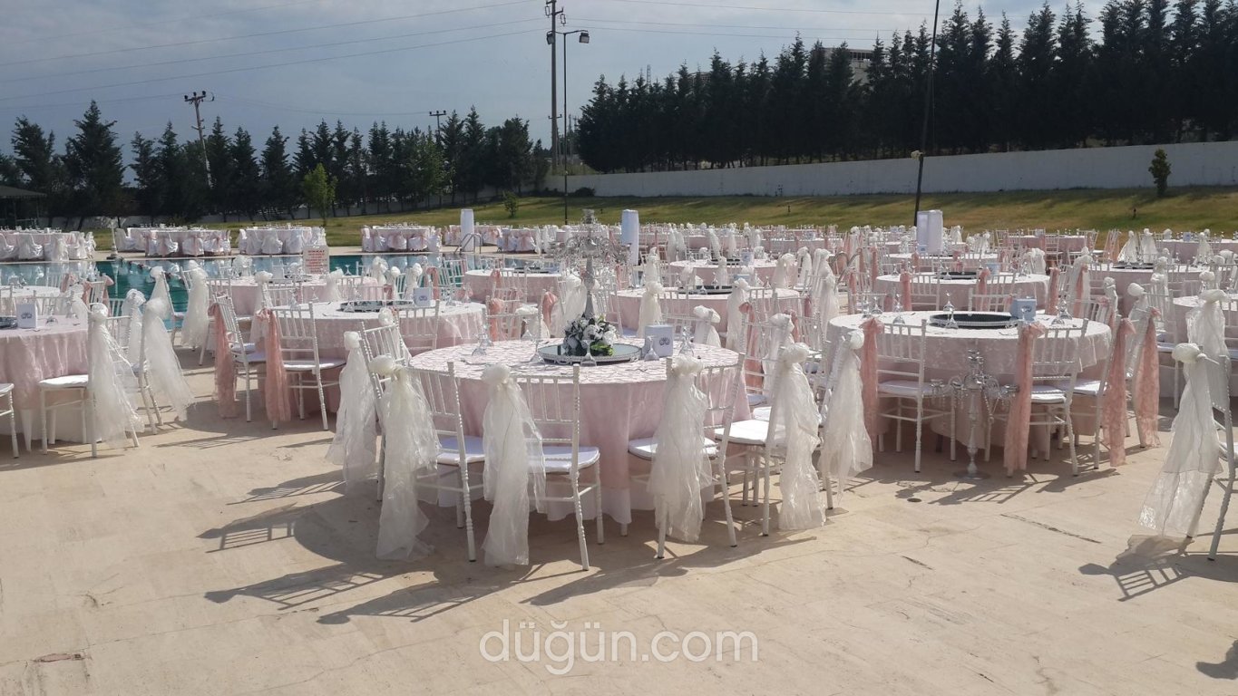 Şah Çiçek & Davet & Organizasyon