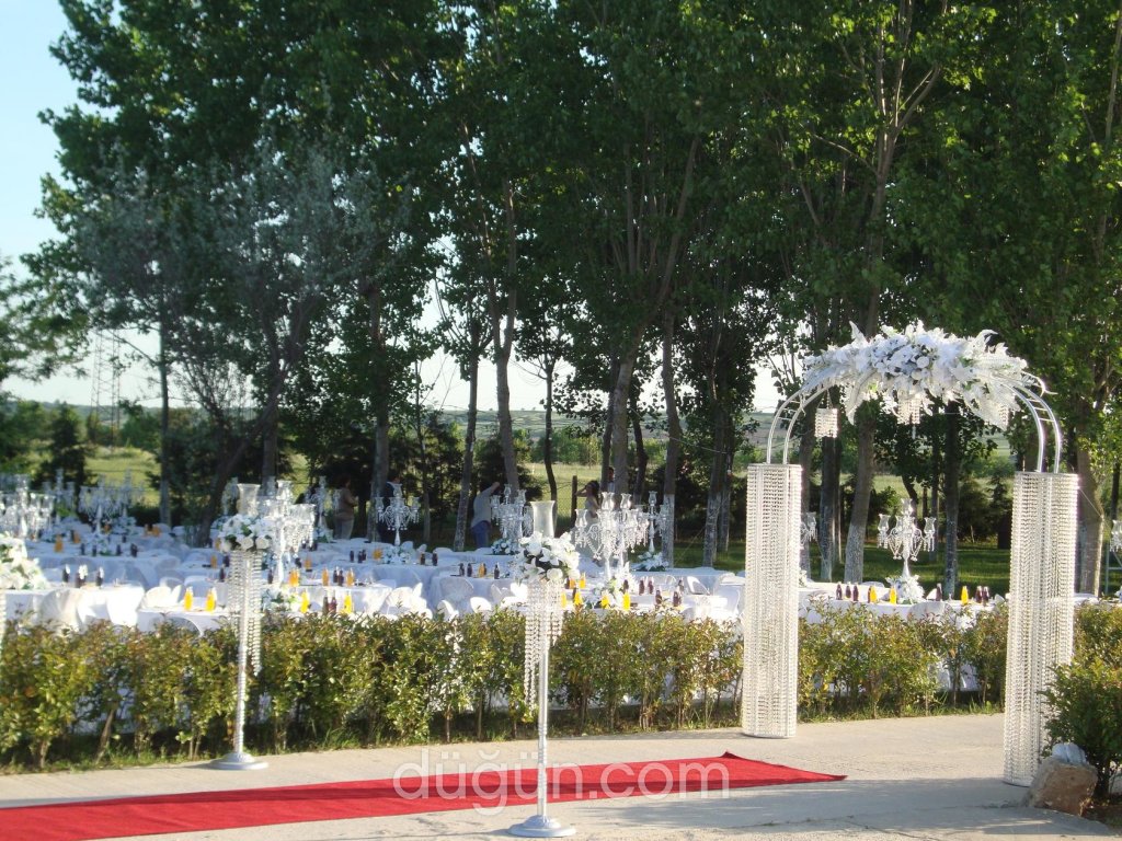 Şah Çiçek & Davet & Organizasyon