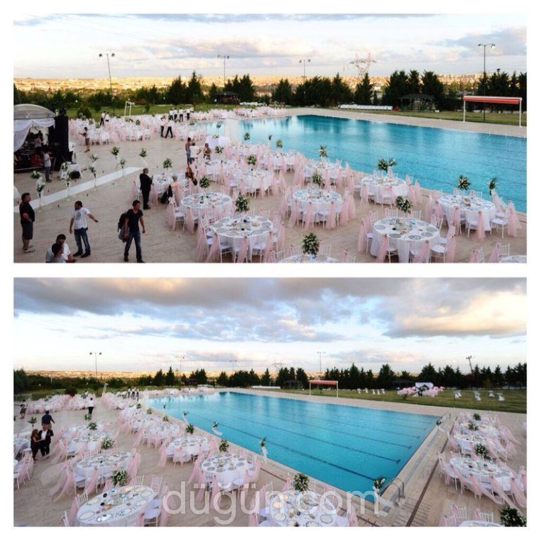 Şah Çiçek & Davet & Organizasyon