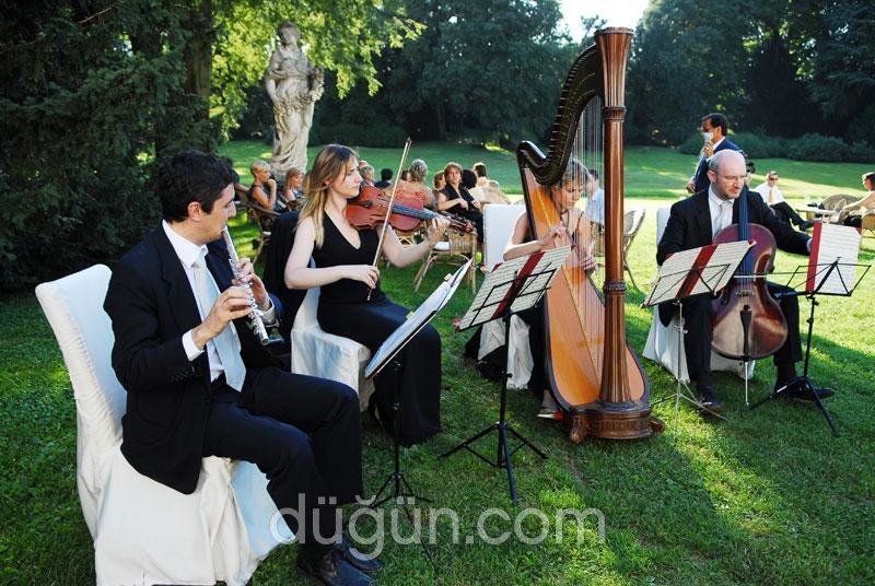 Ar Müzik Organizasyon