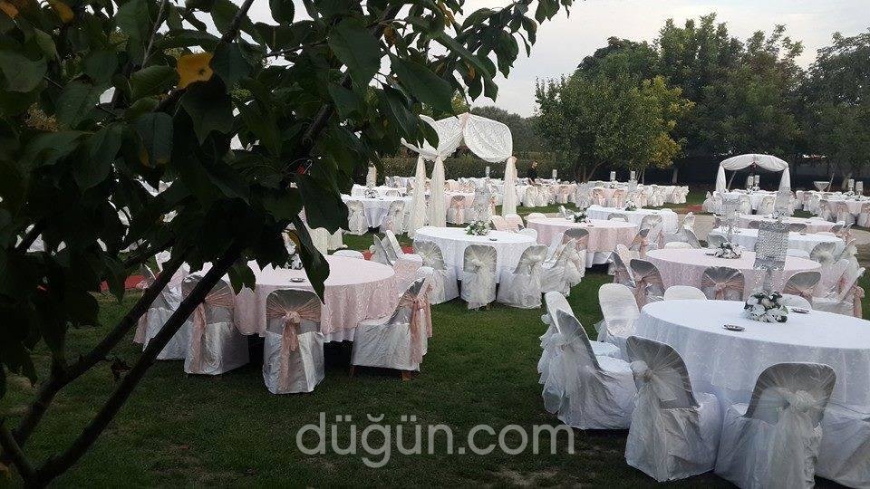 Şah Çiçek & Davet & Organizasyon