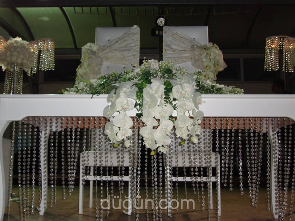 Şah Çiçek & Davet & Organizasyon