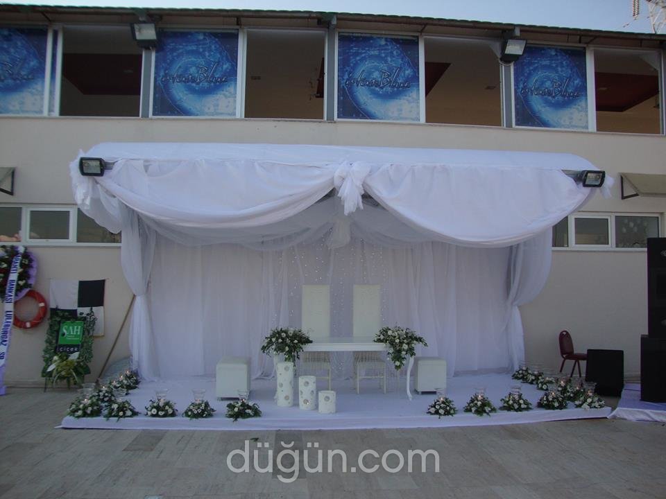 Şah Çiçek & Davet & Organizasyon