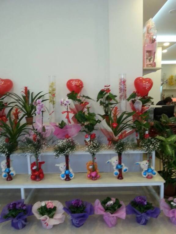 Serdar Çiçekçilik Davet&Organizasyon;
