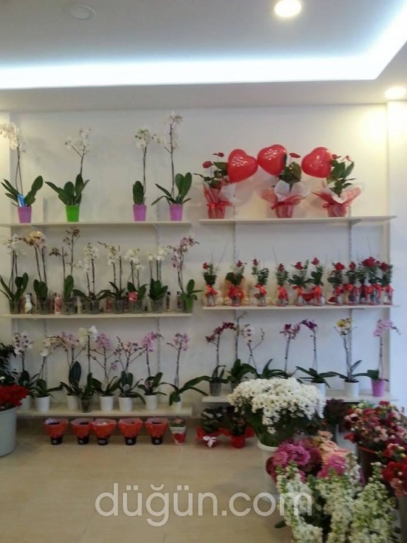 Serdar Çiçekçilik Davet&Organizasyon;