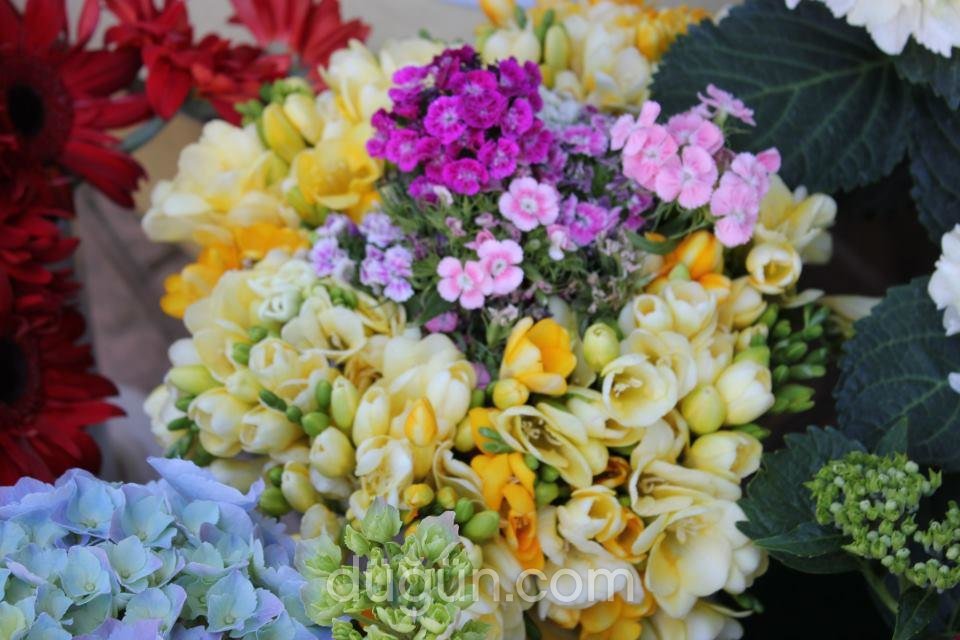 Ayaş Demir Çiçek Evi