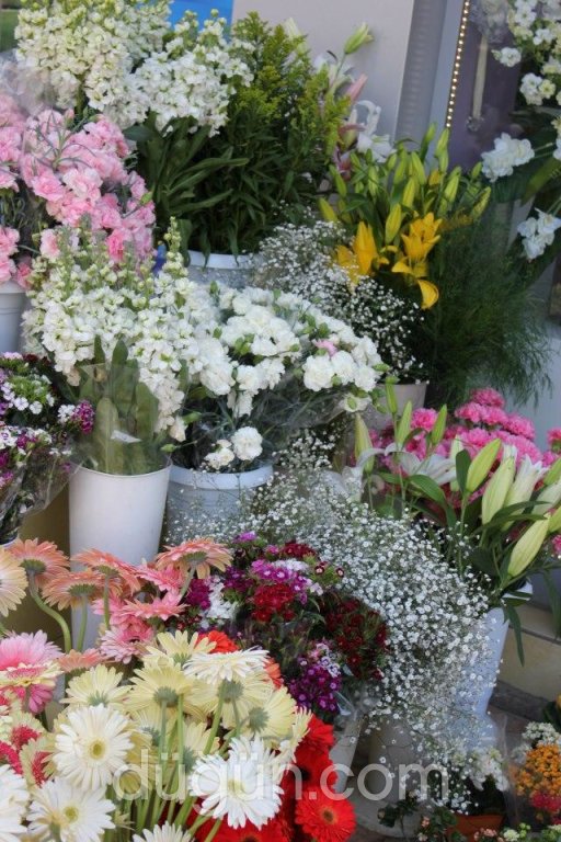 Ayaş Demir Çiçek Evi