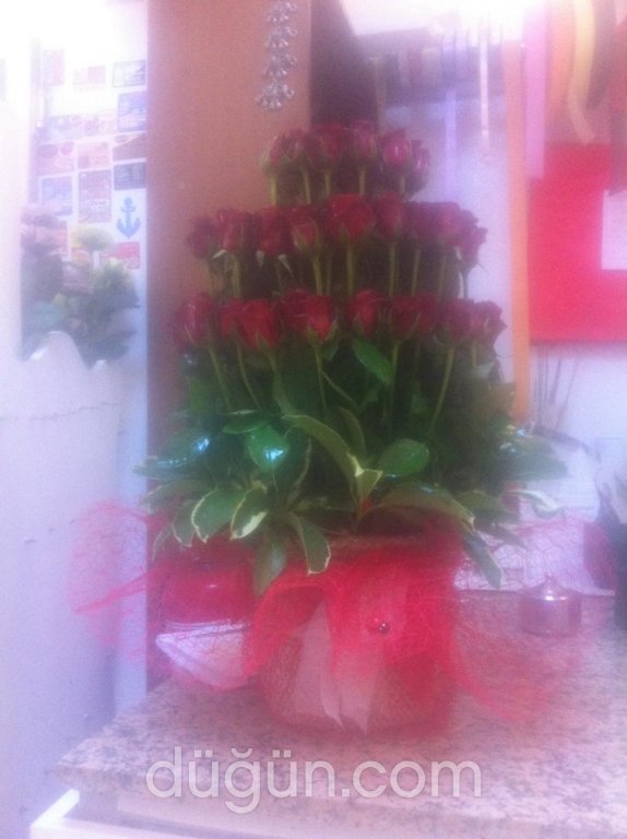 Ayaş Demir Çiçek Evi