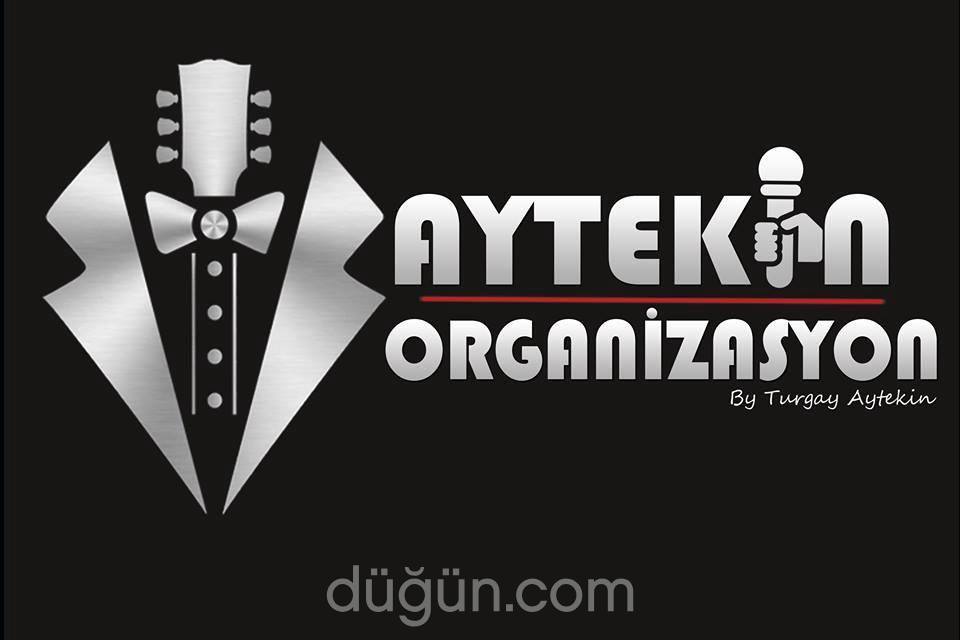 Aytekin Müzik Organizasyon - 1349905