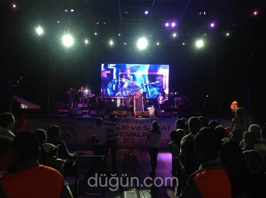 Kedi  Ses Işık Truss ve Sahne Sistemleri