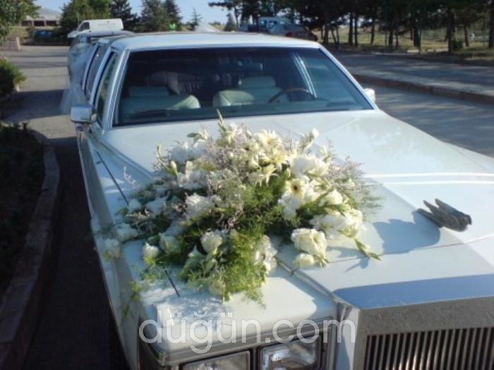 Melisa Çiçekçilik