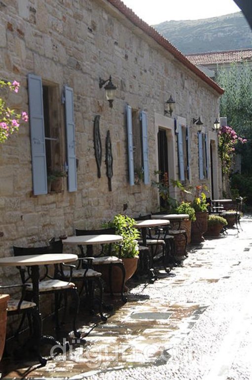 Griffon Boutique Hotel