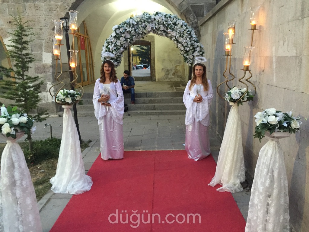 Petek Organizasyon ve Animasyon