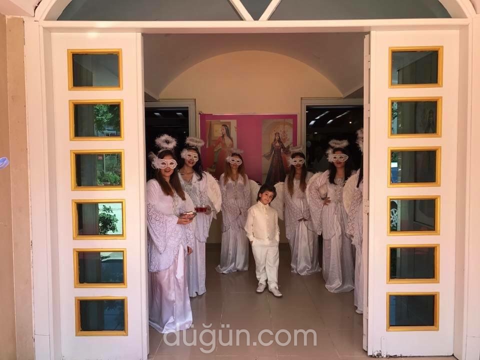 Petek Organizasyon ve Animasyon