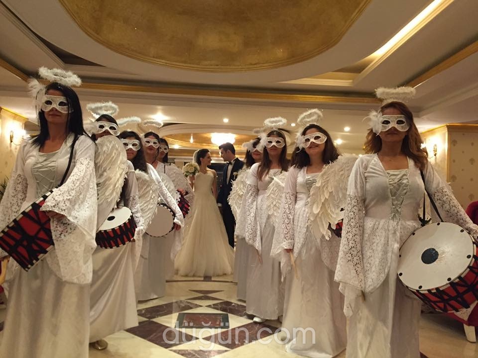 Petek Organizasyon ve Animasyon