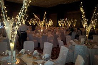 By Sergio Organization Group