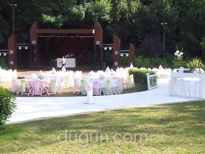 By Sergio Organization Group