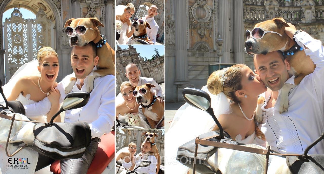 Ekol Fotoğrafçılık