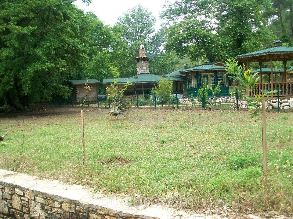 Havuzlu Bahçe Restaurant