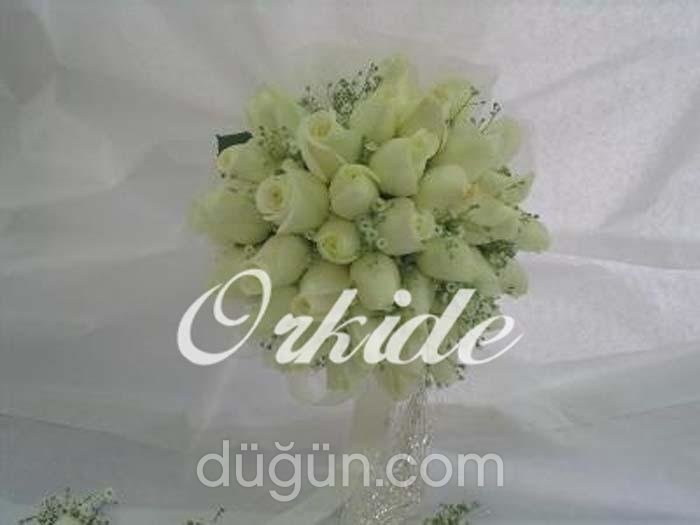 Orkide Çiçekçilik