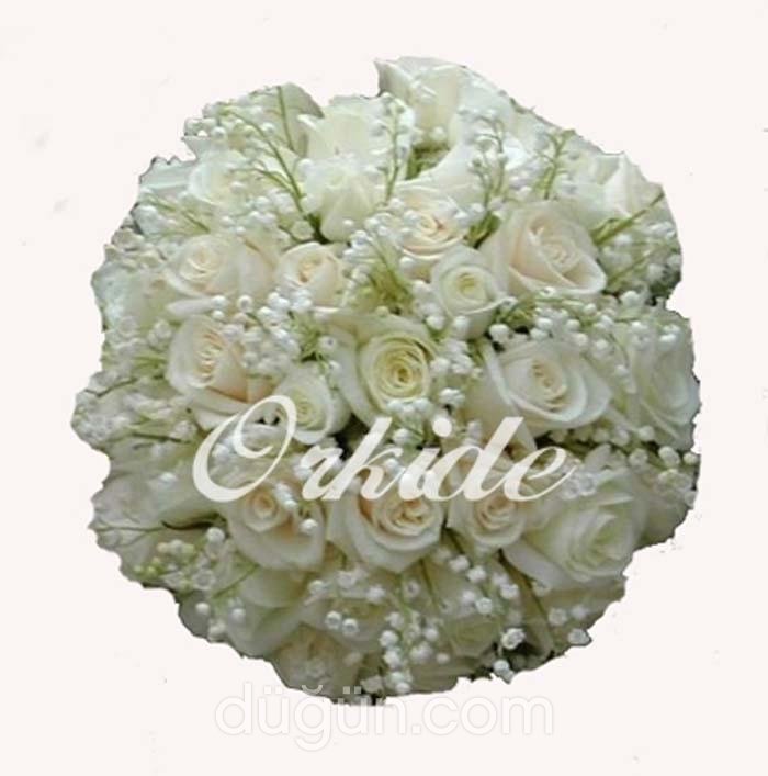 Orkide Çiçekçilik