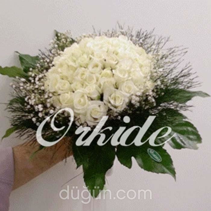 Orkide Çiçekçilik