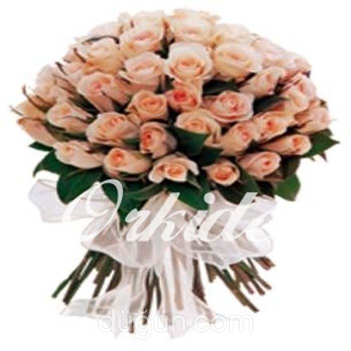 Orkide Çiçekçilik