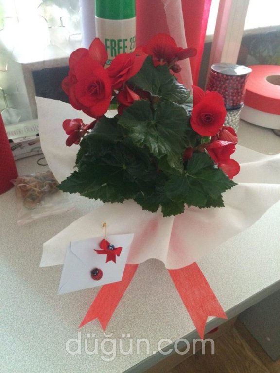 ATAÖZÜ ÇİÇEKÇİLİK