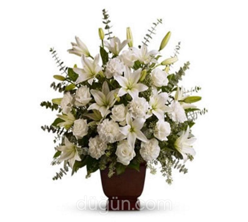 Lady Carmen Çiçekçilik