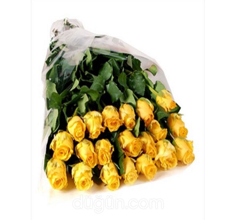 Lady Carmen Çiçekçilik