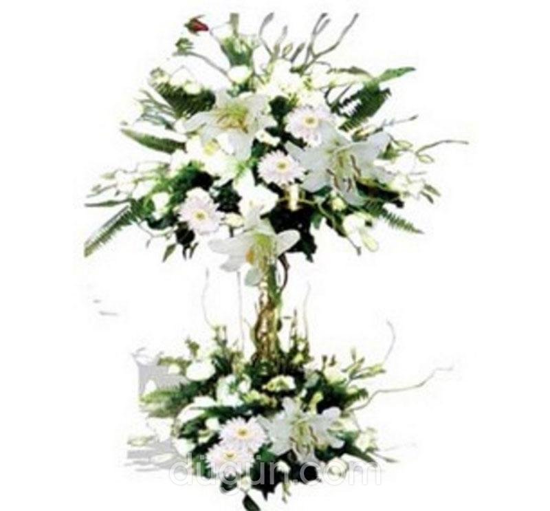 Lady Carmen Çiçekçilik