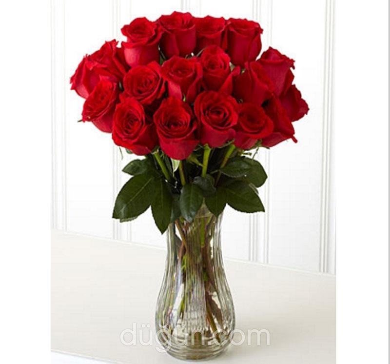 Lady Carmen Çiçekçilik