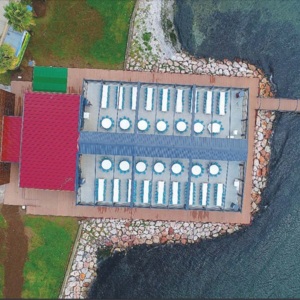 Seka Deniz Restaurant