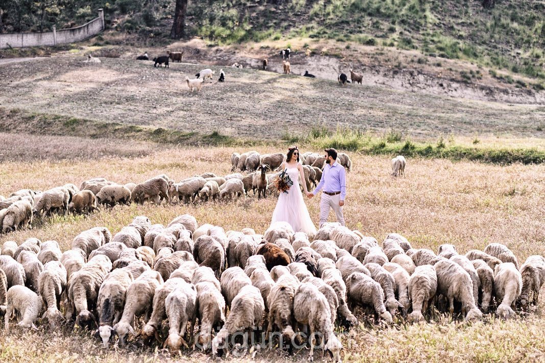 Kumsal Fotoğrafçılık