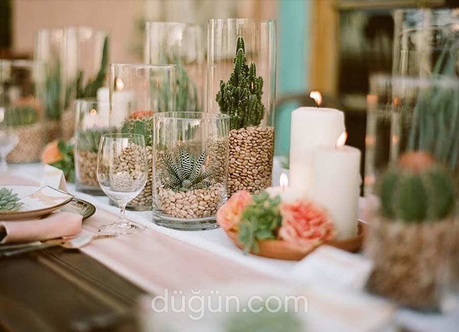 Dodia Events