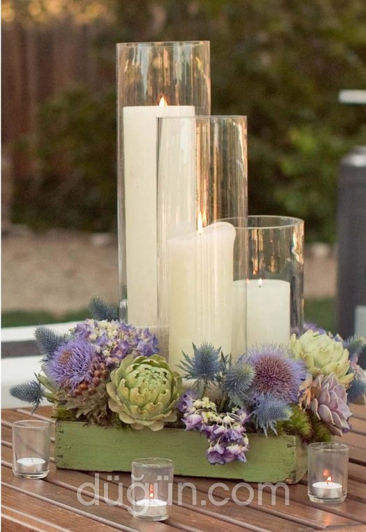 Dodia Events
