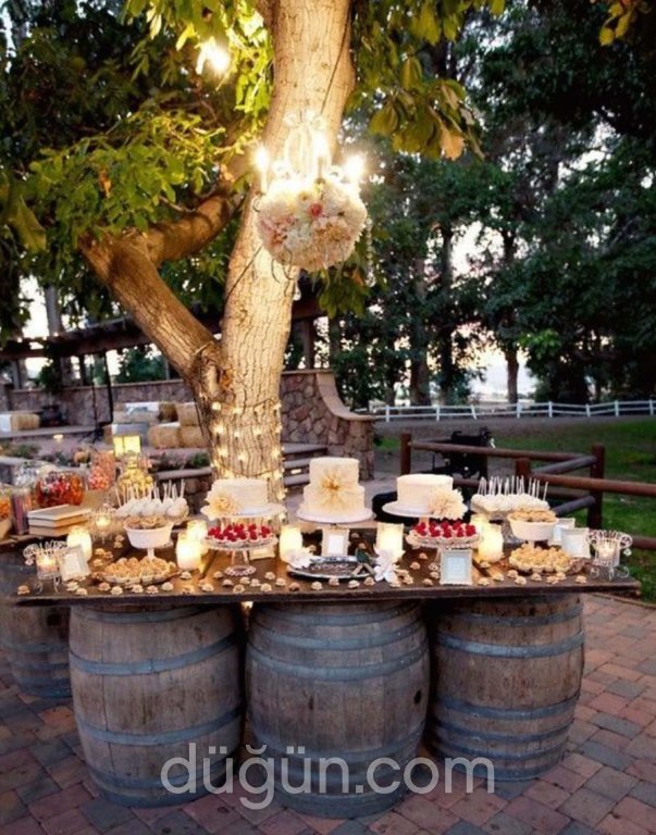 Dodia Events