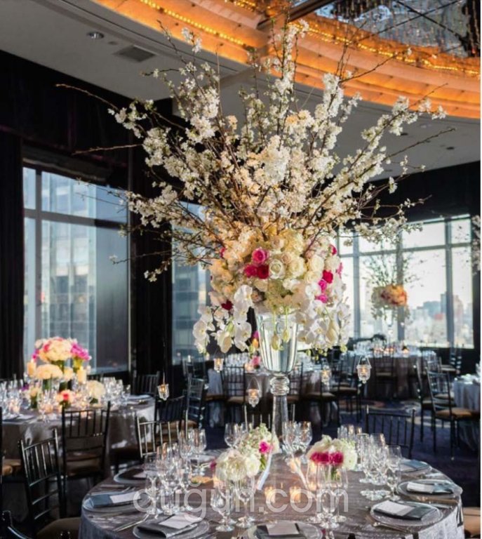 Dodia Events