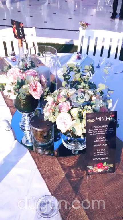 Dodia Events
