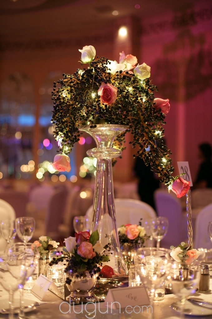 Armoni Davet Organizasyon