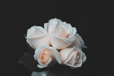 Okyanus Çiçekçilik