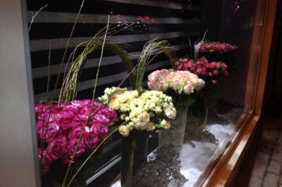 Flowers by Oğuzhan