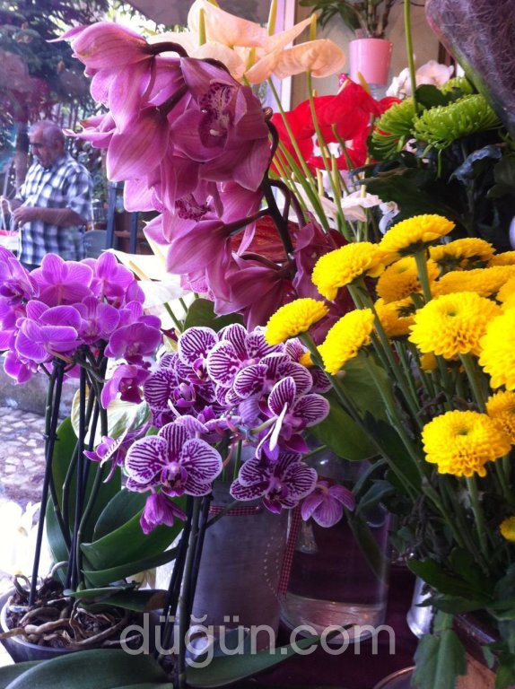 Yeni Fuji Çiçek Evi