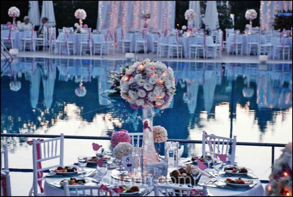 Artnüans Organizasyon