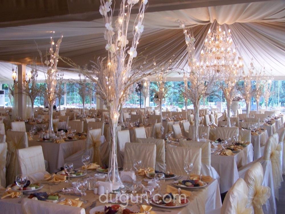 Artnüans Organizasyon