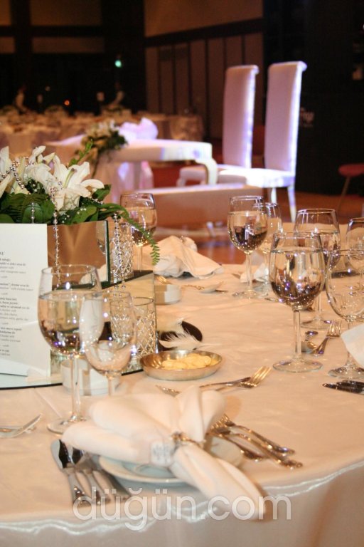 Artnüans Organizasyon