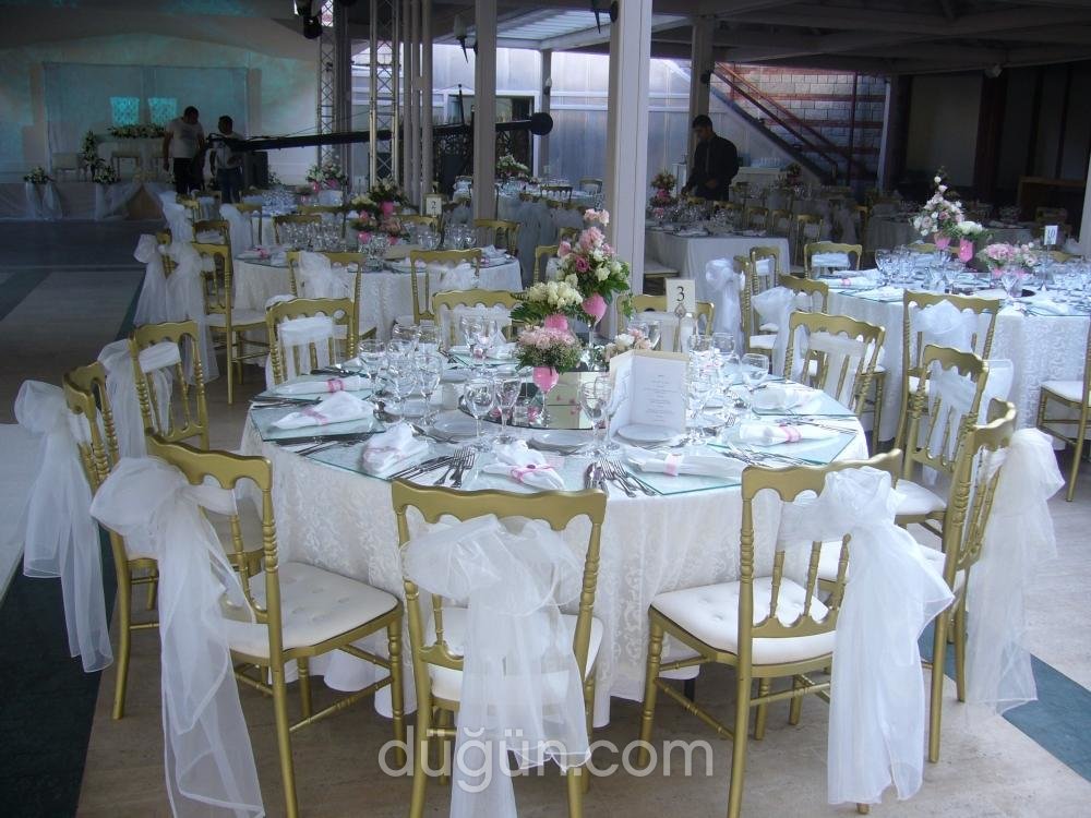 Artnüans Organizasyon