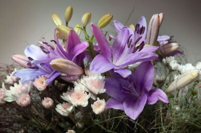 Esinti Çiçekçilik & Organizasyon